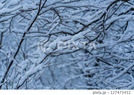 250317秋山郷の雪景色 127473412