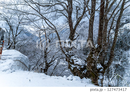 250317秋山郷の雪景色 127473417