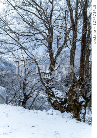 250317秋山郷の雪景色 250317秋山郷の雪景色 127473418