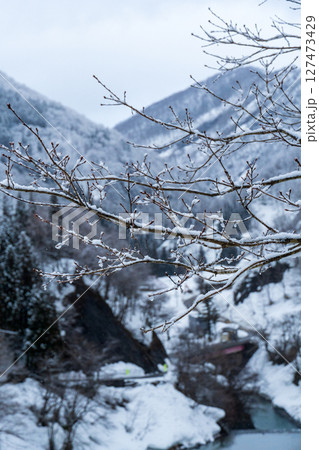 250317秋山郷の雪景色 127473429