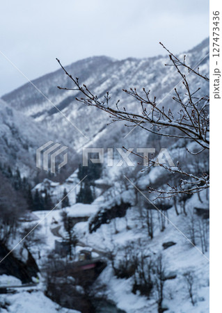250317秋山郷の雪景色 250317秋山郷の雪景色 127473436