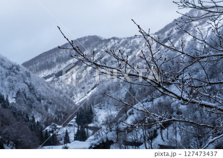 250317秋山郷の雪景色 127473437