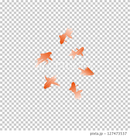 Goldfish illustration 127473537