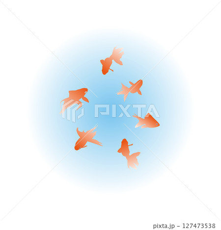 金魚　イラスト 127473538