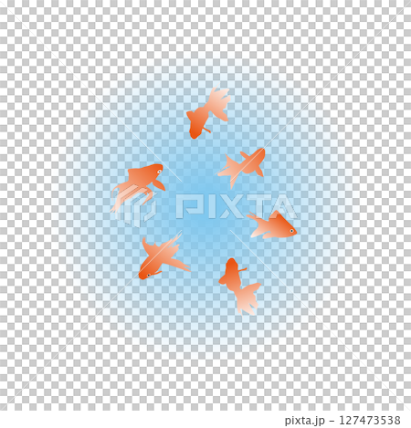 Goldfish illustration 127473538