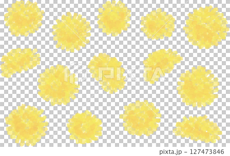 水彩の手描きタンポポ背景イラスト 127473846
