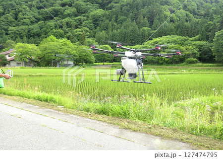 水田にドローンで農薬散布 127474795