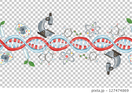 Seamless border of DNA chain, microscope, cell, chemical formulas and plants in test tube. Watercolor illustration hand drawn, cartoon. Drawing for infographics, packaging, cards, invitations. Bio 127474869