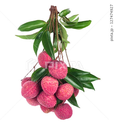 Lychee fruit isolated on white background 127474927