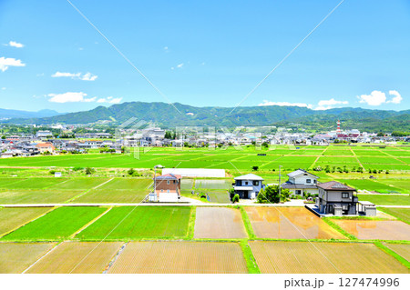 長野県佐久市野沢～中込駅周辺を望む(長野県佐久市)【2025.6】 127474996