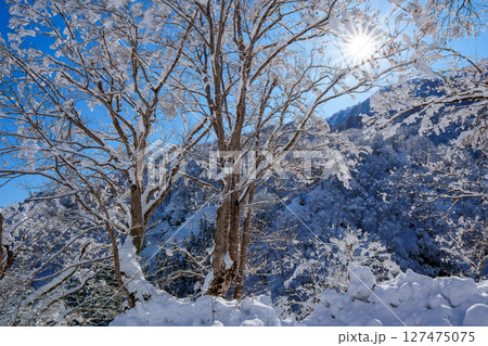 250317秋山郷の雪景色（快晴） 127475075