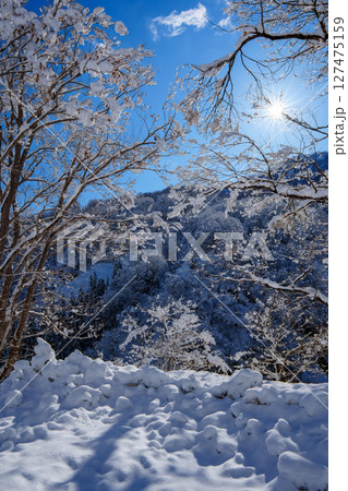 250317秋山郷の雪景色(快晴) 250317秋山郷の雪景色(快晴) 127475159