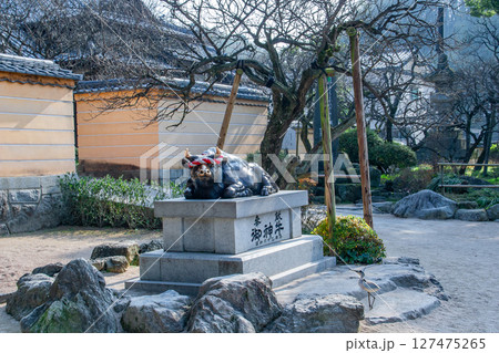 太宰府天満宮 127475265