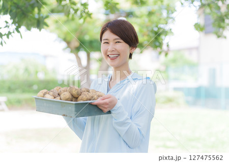 家庭菜園をする女性 127475562