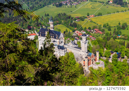 Neuschwanstein Castle in the Bavarian Alps, Germany 127475592