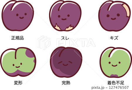 規格品と訳ありのすもものイラストセット（説明付き） 127476507
