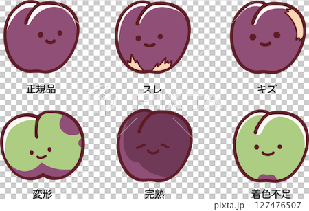 規格品と訳ありのすもものイラストセット（説明付き） 127476507