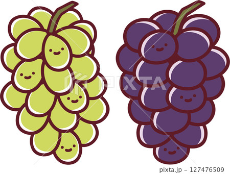 大粒のブドウとマスカットの可愛いイラストセット 127476509