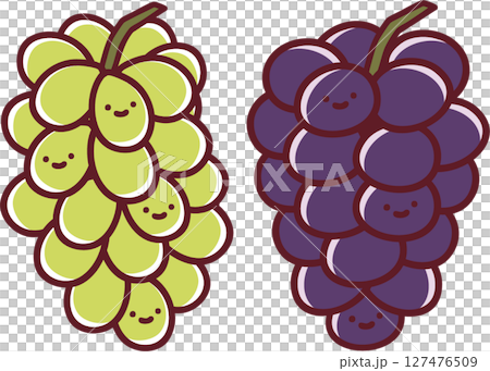 大粒のブドウとマスカットの可愛いイラストセット 127476509