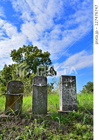越谷市散歩:元荒川・押立堤 墓搭と庚申搭 越谷市散歩:元荒川・押立堤 墓搭と庚申搭 127476747