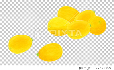 Watercolor illustration of loquat 127477409