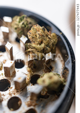 Marijuana Cannabis weed buds in grinder. 127477443