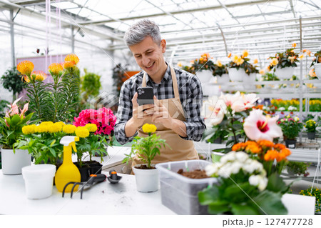 A smiling man in an apron uses his phone while standing in a vibrant greenhouse filled with a variety of colorful flowers and plants. A smiling man in an apron uses his phone while standing in a vibrant greenhouse filled with a variety of colorful flowers and plants. 127477728