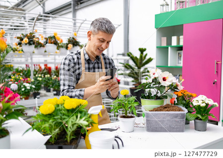 A smiling man in an apron uses his smartphone to take a photo of plants in a greenhouse. A smiling man in an apron uses his smartphone to take a photo of plants in a greenhouse. 127477729