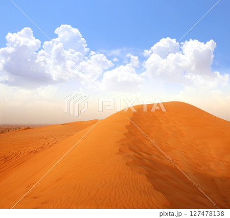 Beautiful scene with dune, UAE. Breathtaking vista of sand dunes in desert. Topic of vacation, travel, trip abroad, cruises and tours. Picturesque landscape with sandy dunes, United Arab Emirates 127478138