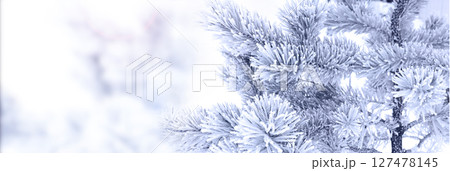 Horizontal Christmas background with pine branch, covered with frost. Holiday wintery banner with frozen branches of fir tree. Festive banner featuring a frosted fir branch. Photo toned in blue color Horizontal Christmas background with pine branch, covered with frost. Holiday wintery banner with frozen branches of fir tree. Festive banner featuring a frosted fir branch. Photo toned in blue color 127478145
