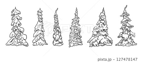 Snowy pine trees hand drawn black and white outline vector set illustration. Forest clipart of fir, spruce in monochrome lines for Christmas cards, seasonal designs. Winter woodland trees ink sketch. 127478147