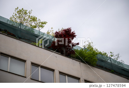 Rooftop garden with trees and shrubs on urban building under gray sky Rooftop garden with trees and shrubs on urban building under gray sky 127478594