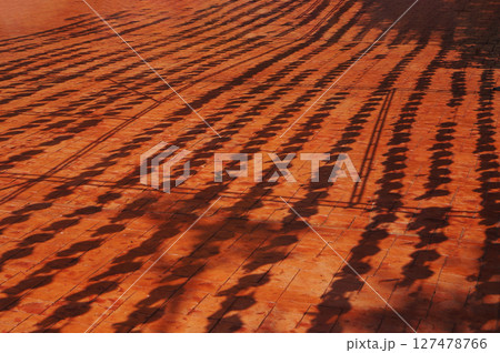 Shadows Cast on a Vibrant Tiled Surface During the Afternoon Shadows Cast on a Vibrant Tiled Surface During the Afternoon 127478766