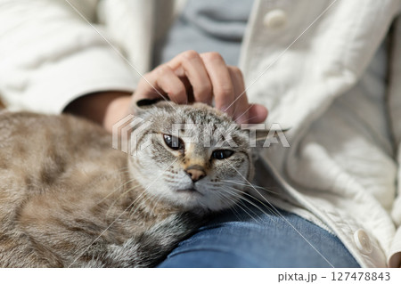 ネコを抱く ネコを抱く 127478843