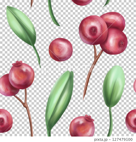 Seamless pattern with bright berries, cranberry and leaves. Sweet healthy dessert, cooking ingredients. Decorations for a festive table, a summer party. Hand-drawn illustrations, background Seamless pattern with bright berries, cranberry and leaves. Sweet healthy dessert, cooking ingredients. Decorations for a festive table, a summer party. Hand-drawn illustrations, background 127479100