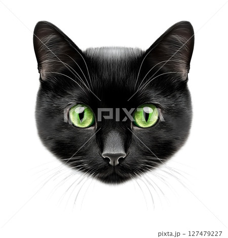Close-up portrait of a black cat with bright green eyes and prominent whiskers 127479227