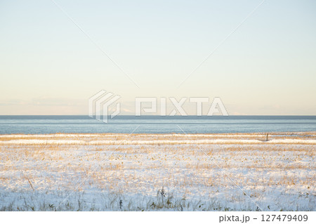雪景色の根室半島から国後島を望む 雪景色の根室半島から国後島を望む 127479409