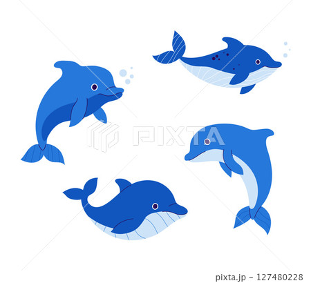 Cute Dolphin set. Isolated sea animals on white background. Vector illustration. Kids collection 127480228