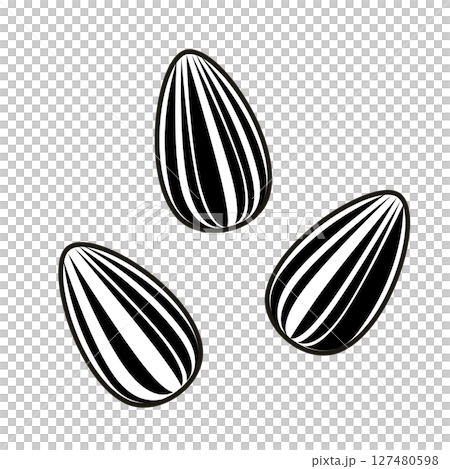 Simple sunflower seed illustration 127480598