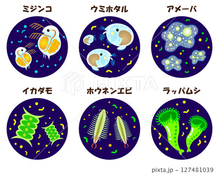 顕微鏡で観察したプランクトンのイラスト素材セット 127481039