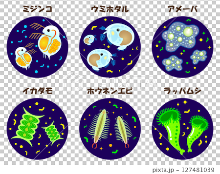 顕微鏡で観察したプランクトンのイラスト素材セット 127481039