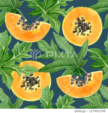 Papaya fruit slices and leaves watercolor seamless border on dark background. Hand drawn illustration perfect for cards, banners, tape, textile, stationary design. Exotic plant clipart. Lush foliage 127481146