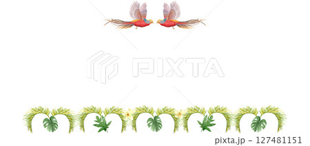 Flying tropical birds with bright plumage, flowers, palm leaves watercolor horizontal frame isolated on white. Hand-painted ideal for stationery, fabric, souvenirs, summer projects. Golden pheasant 127481151