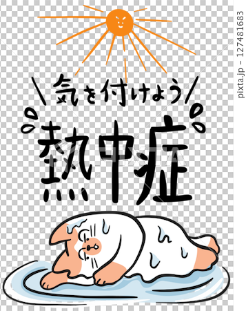 Cat melting in the summer heat Cat melting in the summer heat 127481683