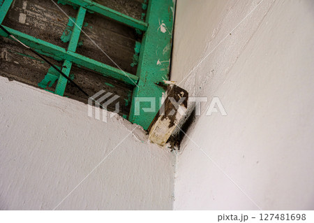 Rotten wooden beam supporting a green window frame Rotten wooden beam supporting a green window frame 127481698