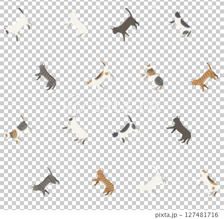 Seamless pattern of short-haired cats Seamless pattern of short-haired cats 127481716