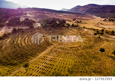 Sad Hill Cemetery in Spain. Tourist place 127481993