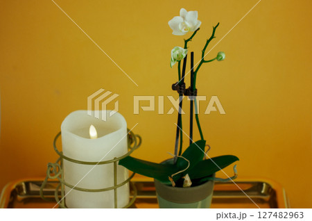 Still life with white orchid flower, burning candle against yellow orange wall background. Spa, relax concept. Beautiful home decor. Beauty flower. Still life with white orchid flower, burning candle against yellow orange wall background. Spa, relax concept. Beautiful home decor. Beauty flower. 127482963