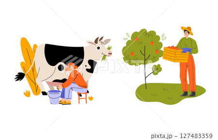 Experience vibrant farm life milking cows and harvesting fresh fruits, spreading joy 127483359