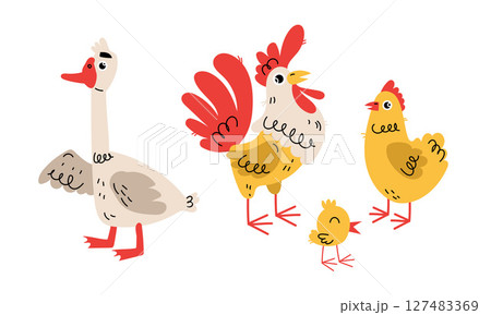 A Vibrant and Colorful Illustration of Farm Animals Featuring a Goose, a Rooster, and Chicks 127483369